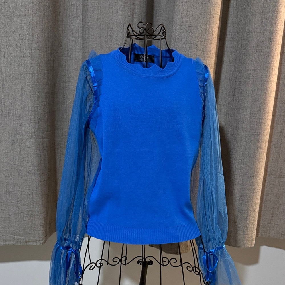 Parisian Blue Blouse with Sheer Sleeves